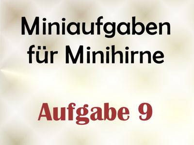 Miniaufgabe Fr Minihirne – Aufgabe 9